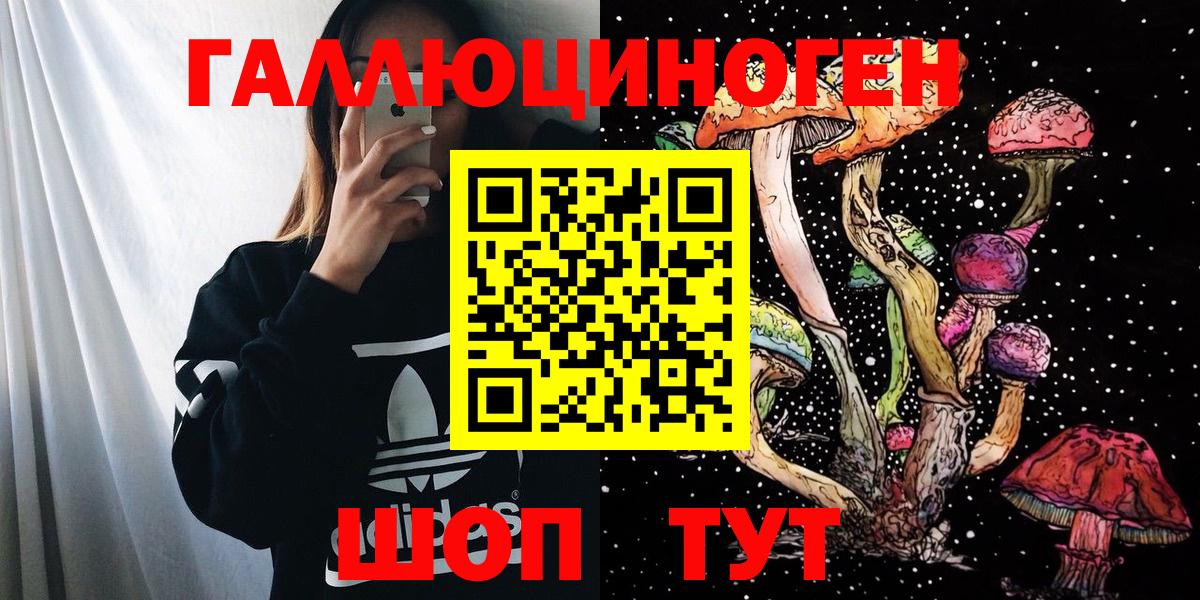 Псилоцибиновые грибы Cubensis Туапсе